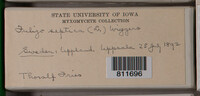 Image Associated With the Occurence
